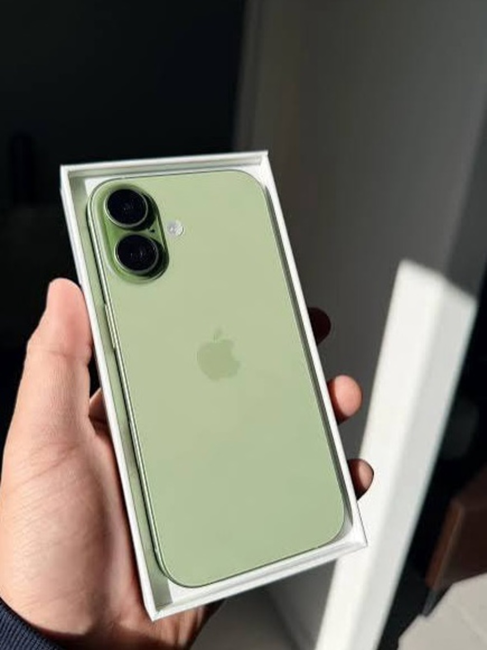 Apple iPhone 17 - 256 gb - 100% Battery
